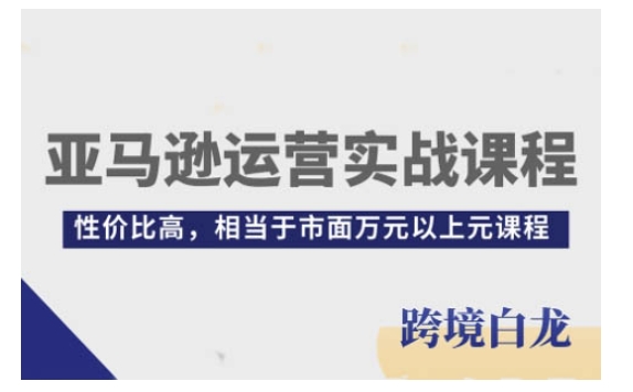 亚马逊运营实战课程，亚马逊从入门到精通，性价比高，相当于市面万元以上元课程-创新Ovo
