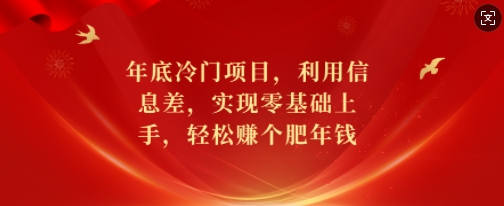 年底冷门项目，利用信息差，实现零基础上手，轻松赚个肥年钱【揭秘】-创新Ovo
