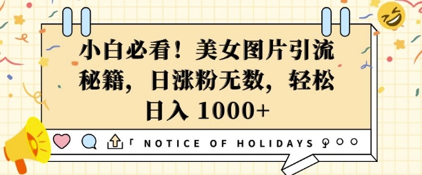 小白必看，美女图片引流秘籍，日涨粉无数，轻松日入几张【揭秘】-创新Ovo