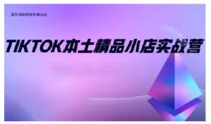 TikTok本土精品小店出海实战营，从入门到高阶，不止0-1!-创新Ovo