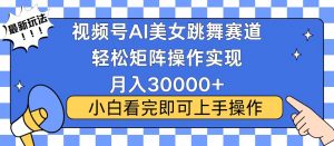 视频号蓝海赛道玩法，当天起号，拉爆流量收益，小白也能轻松月入30000+-创新Ovo