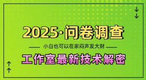 2025问卷调查最新工作室技术解密：一个人在家也可以闷声发大财，小白一天2张，可矩阵放大【揭秘】-创新Ovo