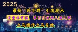 最新“跨年群”引流，流量非常猛，单日引流两人满人群，立马操作立马见效【揭秘】-创新Ovo