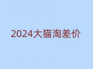 2024版大猫淘差价课程，新手也能学的无货源电商课程-创新Ovo