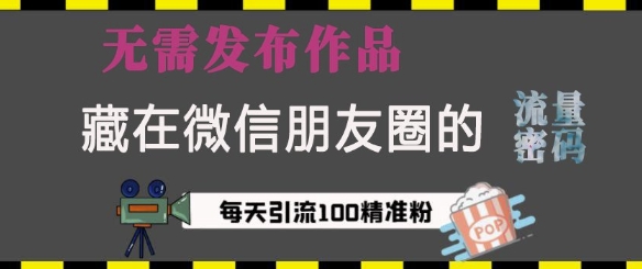 藏在微信朋友圈的流量密码，无需发布作品，单日引流100+精准创业粉【揭秘】-创新Ovo