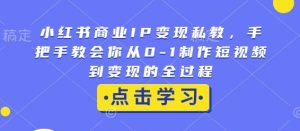 小红书商业IP变现私教，手把手教会你从0-1制作短视频到变现的全过程-创新Ovo