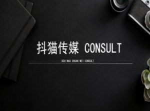 抖猫学院小红书聚光详细操作流程实操-创新Ovo