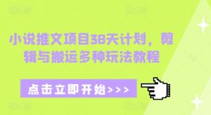 小说推文项目38天计划，剪辑与搬运多种玩法教程-创新Ovo