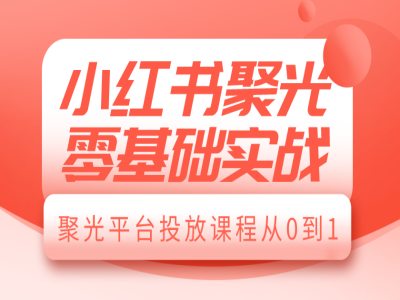 小红书聚光零基础实战，聚光平台投放课程从0到1-创新Ovo