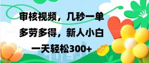审核视频，几秒一单，多劳多得，新人小白一天轻松300+-创新Ovo