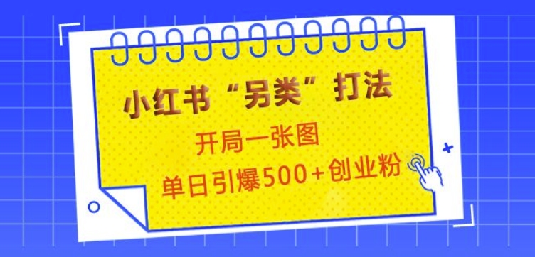 小红书“另类”打法，开局一张图，单日引爆500+精准创业粉【揭秘】-创新Ovo