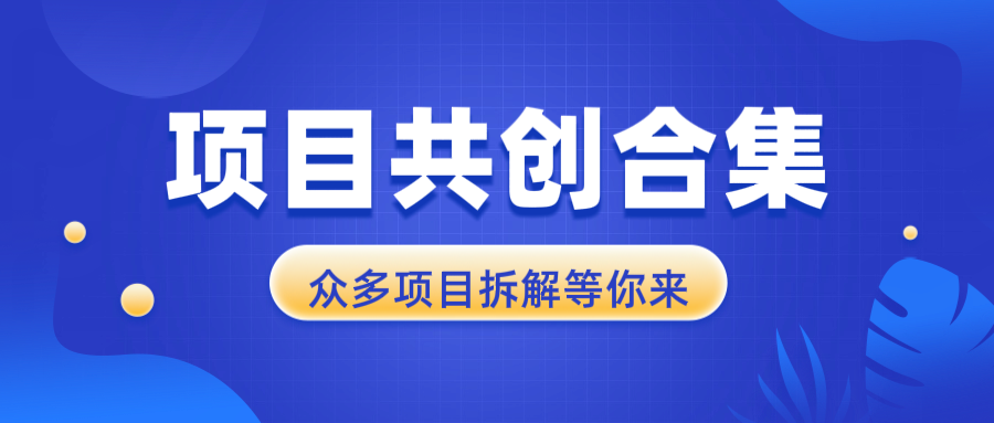 项目共创合集，从0-1全过程拆解，让你迅速找到适合自已的项目-创新Ovo
