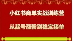 小红书商单实战训练营，从0到1教你如何变现，从起号涨粉到稳定接单，适合新手-创新Ovo