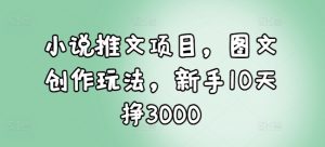 小说推文项目，图文创作玩法，新手10天挣3000-创新Ovo