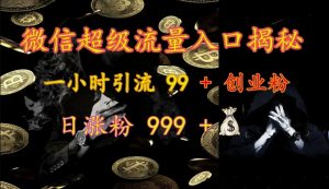 微信超级流量入口揭秘:一小时引流 99 + 创业粉,日涨粉 999 +-创新Ovo
