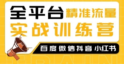 全平台精准流量实战训练营，百度微信抖音小红书SEO引流教程-创新Ovo