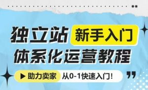 独立站新手入门体系化运营教程,助力独立站卖家从0-1快速入门!-创新Ovo