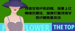 顶流女性IP实战班，流量上亿情绪引爆法，深度打磨顶流女性IP硬核基本功-创新Ovo