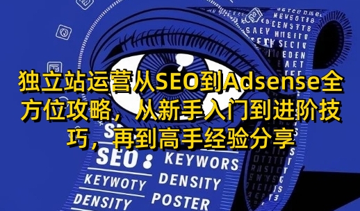独立站运营从SEO到Adsense全方位攻略，从新手入门到进阶技巧，再到高手经验分享-创新Ovo