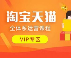 淘宝天猫全体系运营课程：店铺全系运营、动销玩法、付费推广、流量提升、擦边球玩法等等-创新Ovo