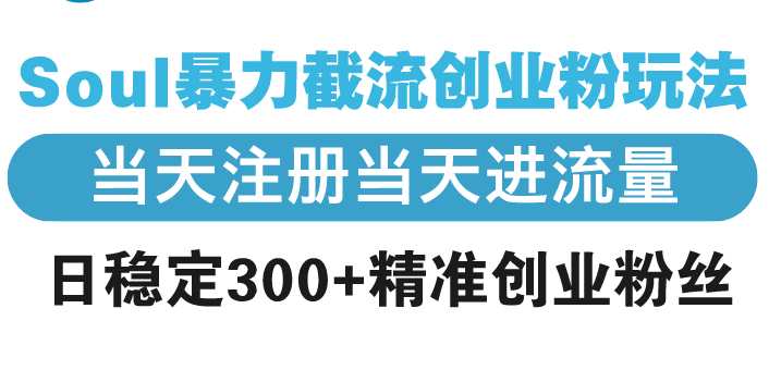 Soul暴力截流创业粉玩法，当天注册当天进流量，日稳定300+精准创业粉丝-创新Ovo