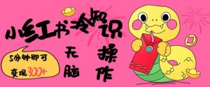 小红书冷知识账号,无脑复制粘贴,5分钟即可变现3张-创新Ovo