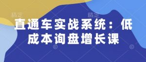 直通车实战系统：低成本询盘增长课，让个人通过技能实现升职加薪，让企业低成本获客，订单源源不断-创新Ovo
