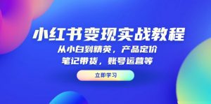 小红书变现实战教程:从小白到精英,产品定价,笔记带货,账号运营等-创新Ovo