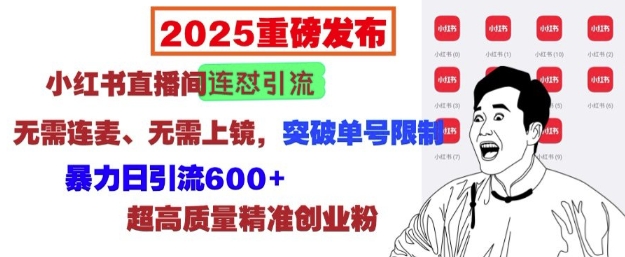 2025重磅发布：小红书直播间连怼引流，无需连麦、无需上镜，突破单号限制，暴力日引流600+-创新Ovo