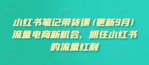 小红书笔记带货课(更新25年1月)流量电商新机会,抓住小红书的流量红利-创新Ovo