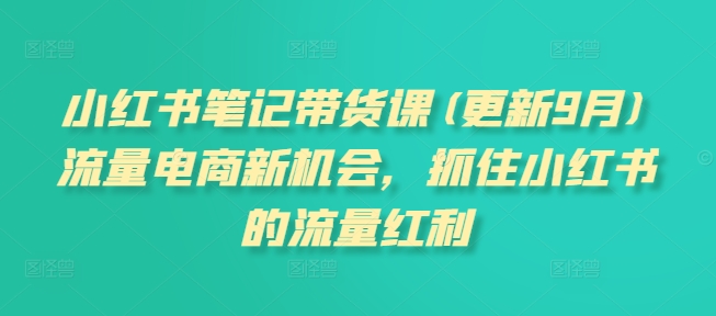 小红书笔记带货课(更新25年1月)流量电商新机会，抓住小红书的流量红利-创新Ovo