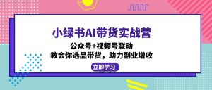 小绿书AI带货实战营:公众号+视频号联动,教会你选品带货,助力副业增收-创新Ovo