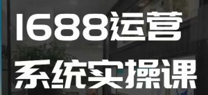 1688高阶运营系统实操课,快速掌握1688店铺运营的核心玩法-创新Ovo