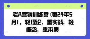 老A营销训练营(更25年1月),轻理论,重实战,轻概念,重本质-创新Ovo