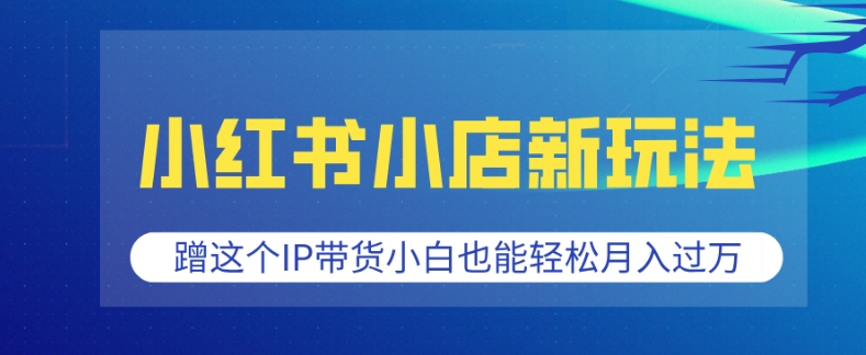 小红书小店新玩法，蹭这个IP带货，小白也能轻松月入过W【揭秘】-创新Ovo