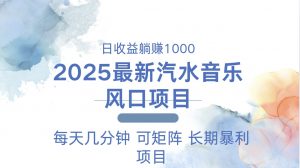 2025最新汽水音乐躺赚项目 每天几分钟 日入1000＋-创新Ovo