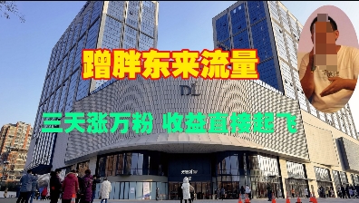 蹭胖东来流量，三天涨万粉，收益直接起飞-创新Ovo