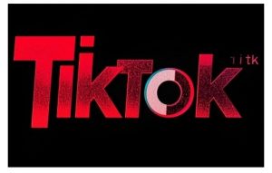 TikTok ads投流秘籍,涵盖tiktok整体投放思路,教你搭建测试计划-创新Ovo