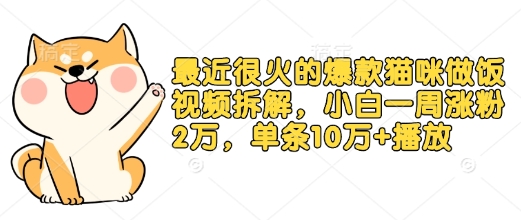 最近很火的爆款猫咪做饭视频拆解，小白一周涨粉2万，单条10万+播放(附保姆级教程)-创新Ovo