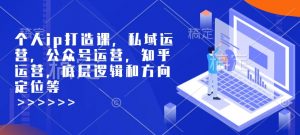 个人ip打造课，私域运营，公众号运营，知乎运营，底层逻辑和方向定位等-创新Ovo