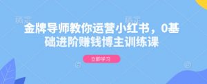 金牌导师教你运营小红书，0基础进阶赚钱博主训练课-创新Ovo