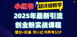 2025年最新小红书引流创业粉实战课程【超详细教学】小白轻松上手，月入1W+，附小红书养号SOP-创新Ovo