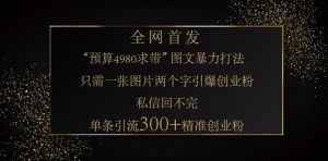 小红书神奇图片引流法,只需一张图,就能单条笔记凭借此方法,轻松引流 300 + 精准创业粉-创新Ovo