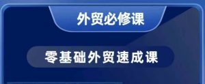 零基础外贸必修课,开发客户商务谈单实战,40节课手把手教-创新Ovo