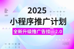 2025小程序推广计划，全新升级撸广告挂JI2.0玩法，日入多张，小白可做【揭秘】-创新Ovo