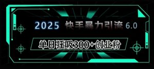 2025年快手6.0保姆级教程震撼来袭,单日狂吸300+精准创业粉-创新Ovo
