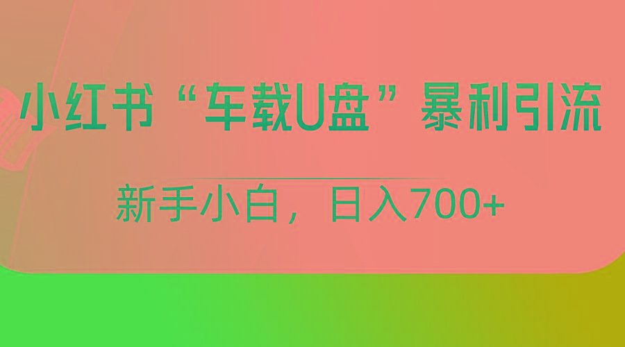 小红书“车载U盘”项目，暴利引流，新手小白轻松日入700+-创新Ovo