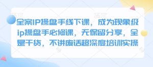 全案IP操盘手线下课,成为现象级ip操盘手必修课,无保留分享,全是干货,不讲废话超深度培训实操-创新Ovo