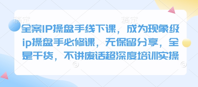 全案IP操盘手线下课，成为现象级ip操盘手必修课，无保留分享，全是干货，不讲废话超深度培训实操-创新Ovo