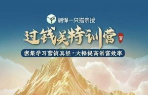 剽悍一只猫-过钱关特训营，学习营销真经 大幅度提高创富效率-创新Ovo